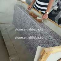 G439 Granite Countertop G439 Granite Worktop with Bullnose edge