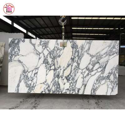 Arabescato Vagli Arabescato Marble Price Wormal Marble Arabescato Vagli Marble